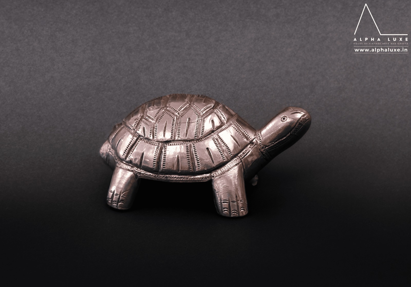 WhatsApp Image 2023-10-21 at 11.50.00 AM (35).jpeg